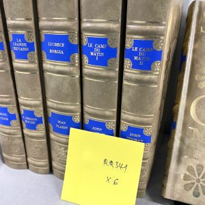 หนังสือ หนังเทียมชุด 6 เล่มภาษาฝรั่งเศส