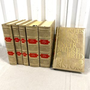 หนังสือ หนังเทียมชุด 6 เล่มภาษาฝรั่งเศส